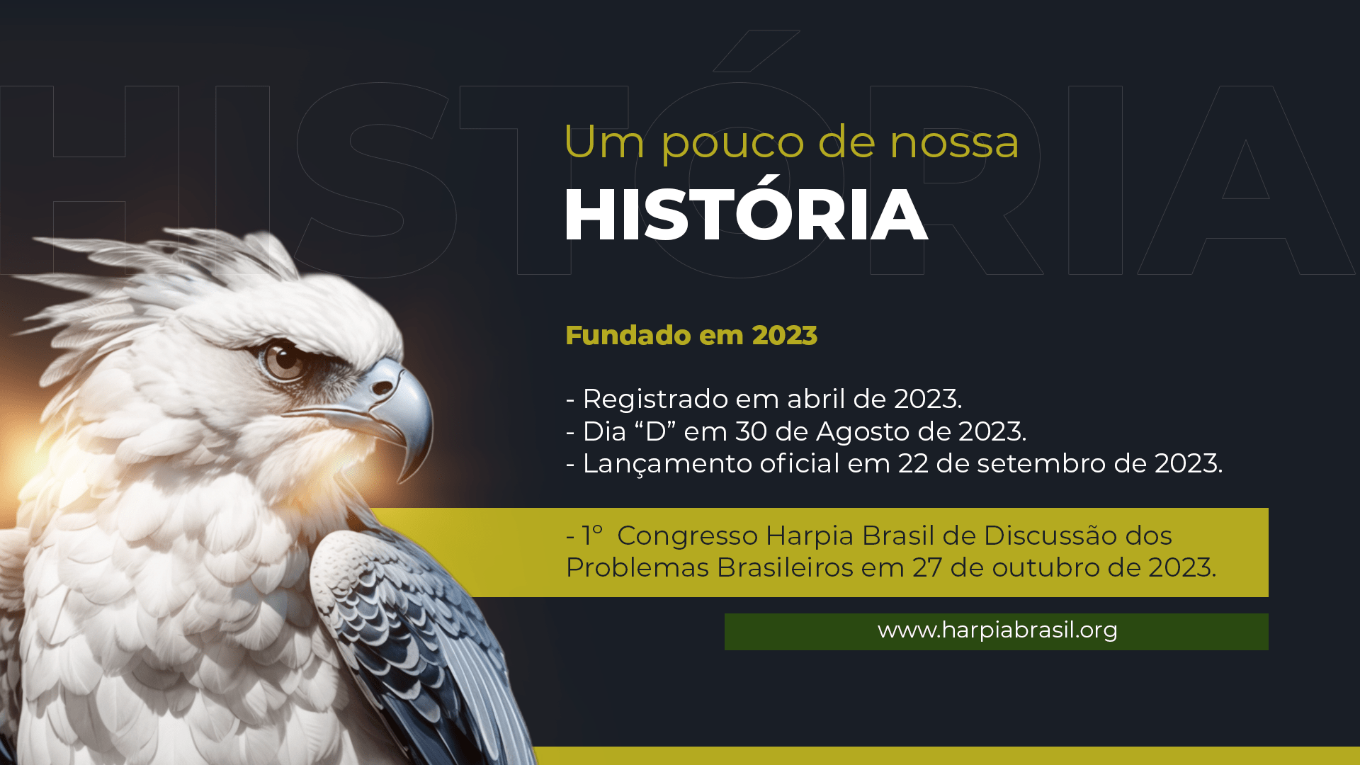 Apresentnação-Instituto-Harpia-Brasil_03-min