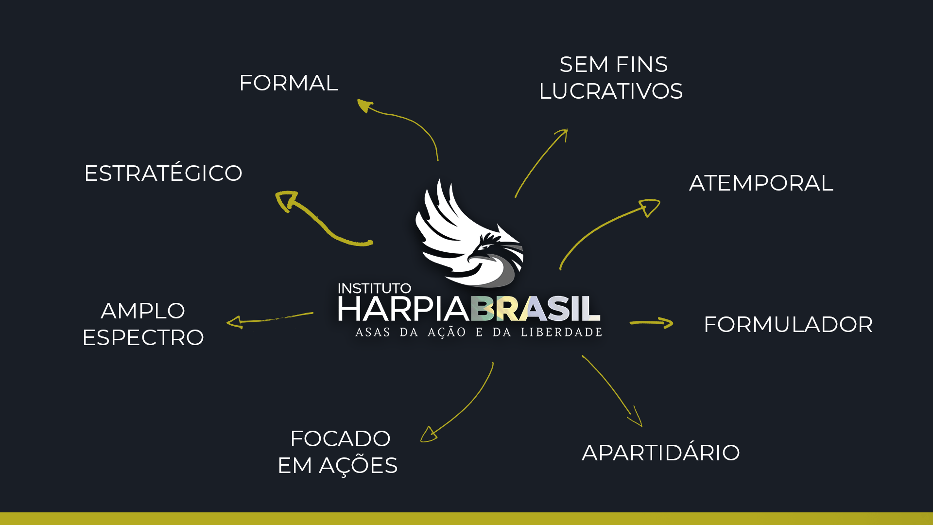 Apresentnação-Instituto-Harpia-Brasil_04-min